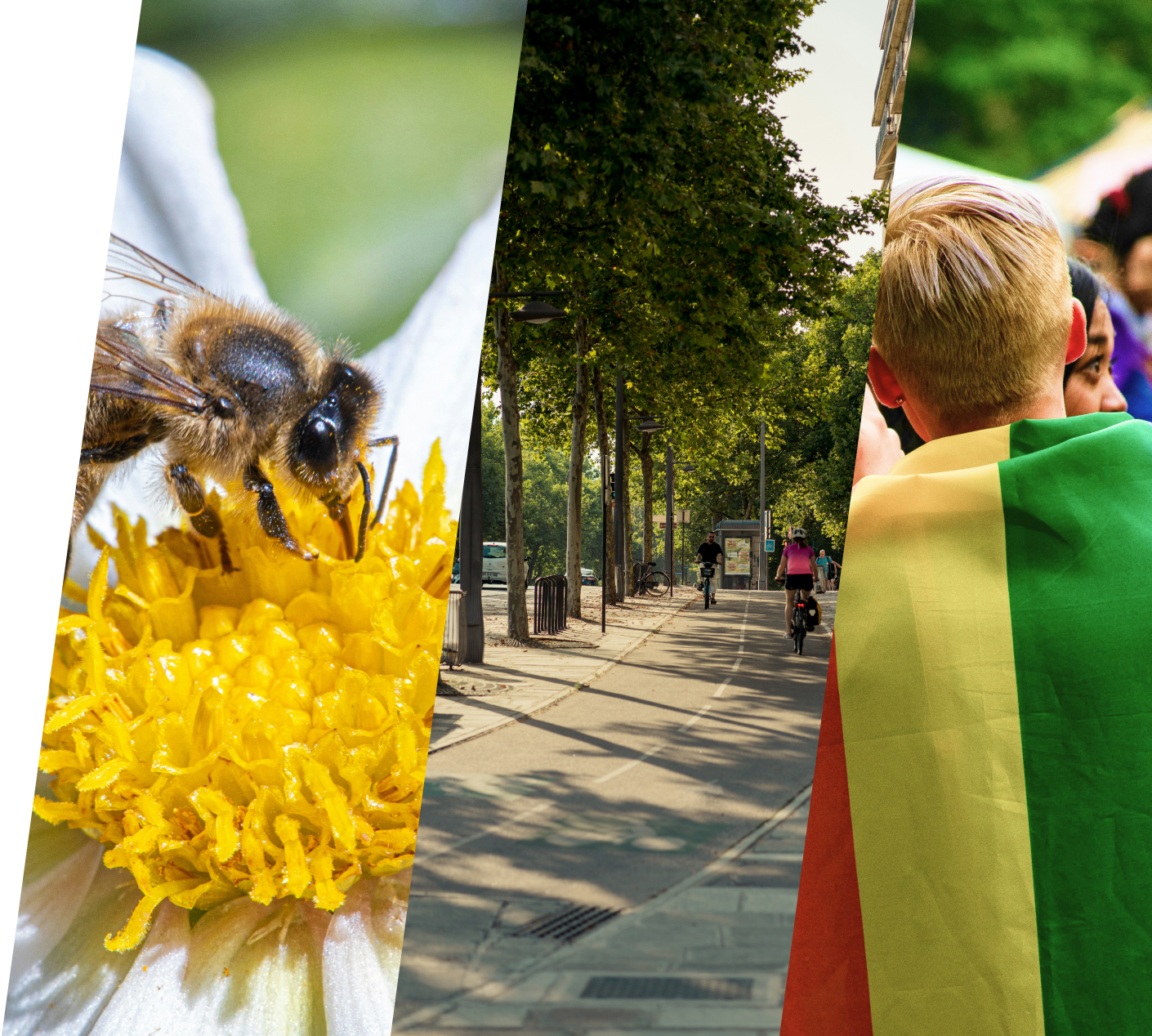 Breite Radwege, die von Bäumen gesäumt werden, eine Biene sitzt auf einer Blüte; eine Person trägt eine Regenbogenfahne um die Schultern