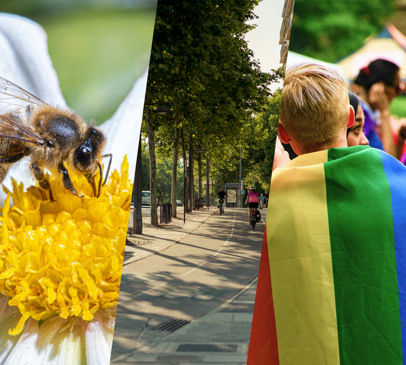 Breite Radwege, die von Bäumen gesäumt werden, eine Biene sitzt auf einer Blüte; eine Person trägt eine Regenbogenfahne um die Schultern